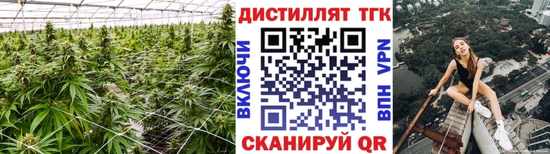 где купить наркоту  Баксан  ТГК концентрат 
