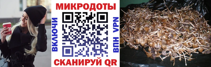 наркошоп  shop состав  Псилоцибиновые грибы ЛСД  Баксан 