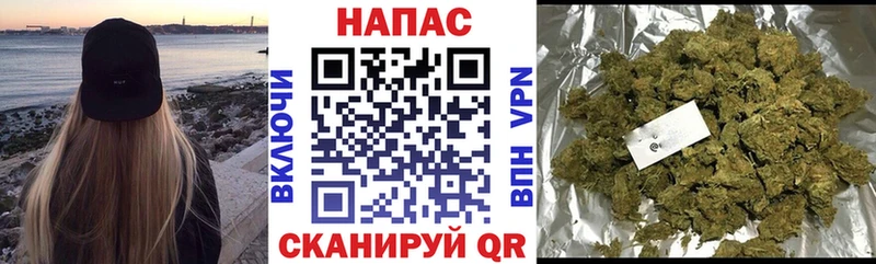 Каннабис гибрид купить наркотик Баксан